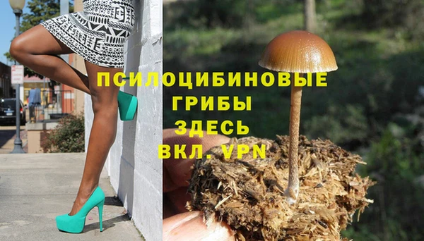 мескалин Бородино