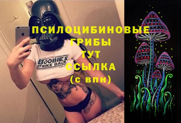 ПСИЛОЦИБИНОВЫЕ ГРИБЫ Верхнеуральск