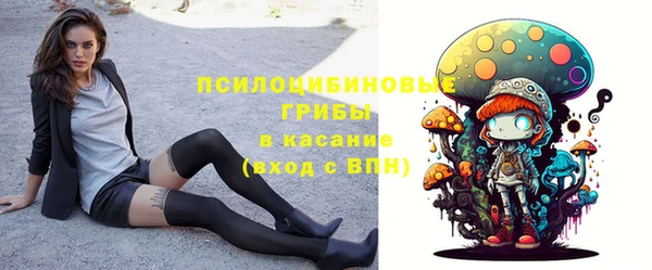 мдпв Бугульма
