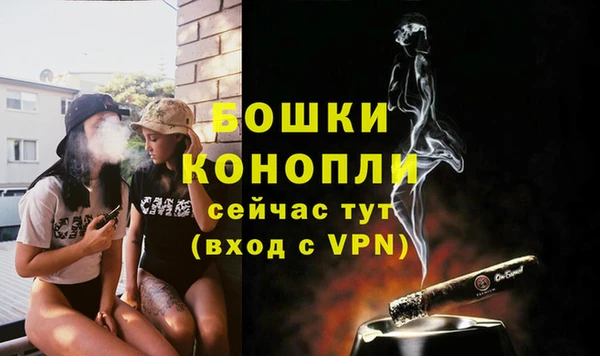 винт Верея