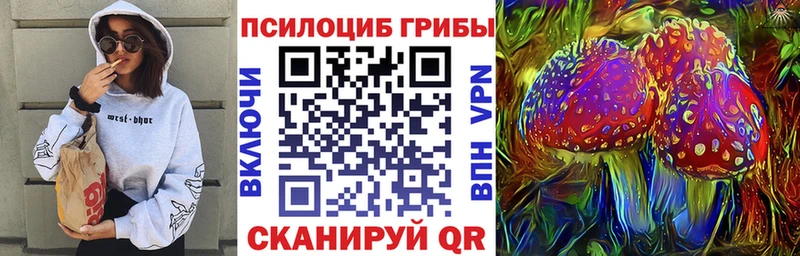Псилоцибиновые грибы Cubensis  Купить закладки  Дивногорск 